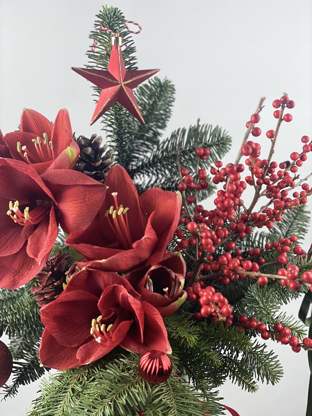 Elegance of the Season Cam Vazoda Amaryllis, İlex ve Çam Aranjmanı