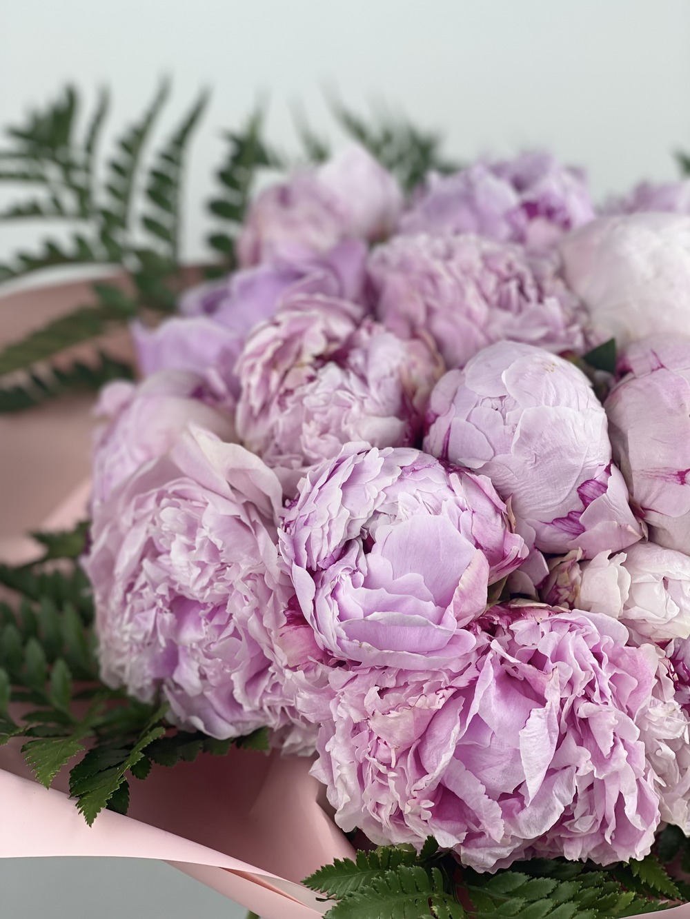 Fleur de Blush 20'li Şakayık Buketi