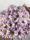 Soft Dawn Krizantem Buketi