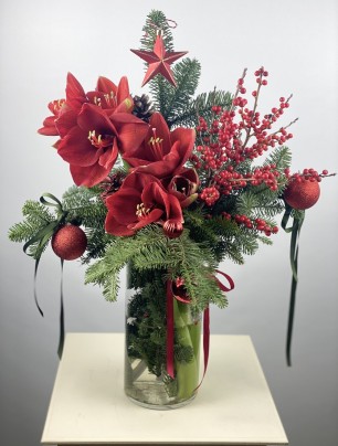 Elegance of the Season Cam Vazoda Amaryllis, İlex ve Çam Aranjmanı