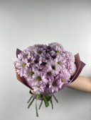 Soft Dawn Krizantem Buketi
