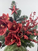 Elegance of the Season Cam Vazoda Amaryllis, İlex ve Çam Aranjmanı
